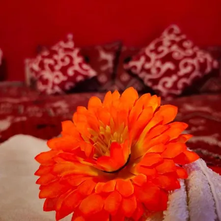Ca Dei Fiori 1 Venezia לינה וארוחת בוקר 2*